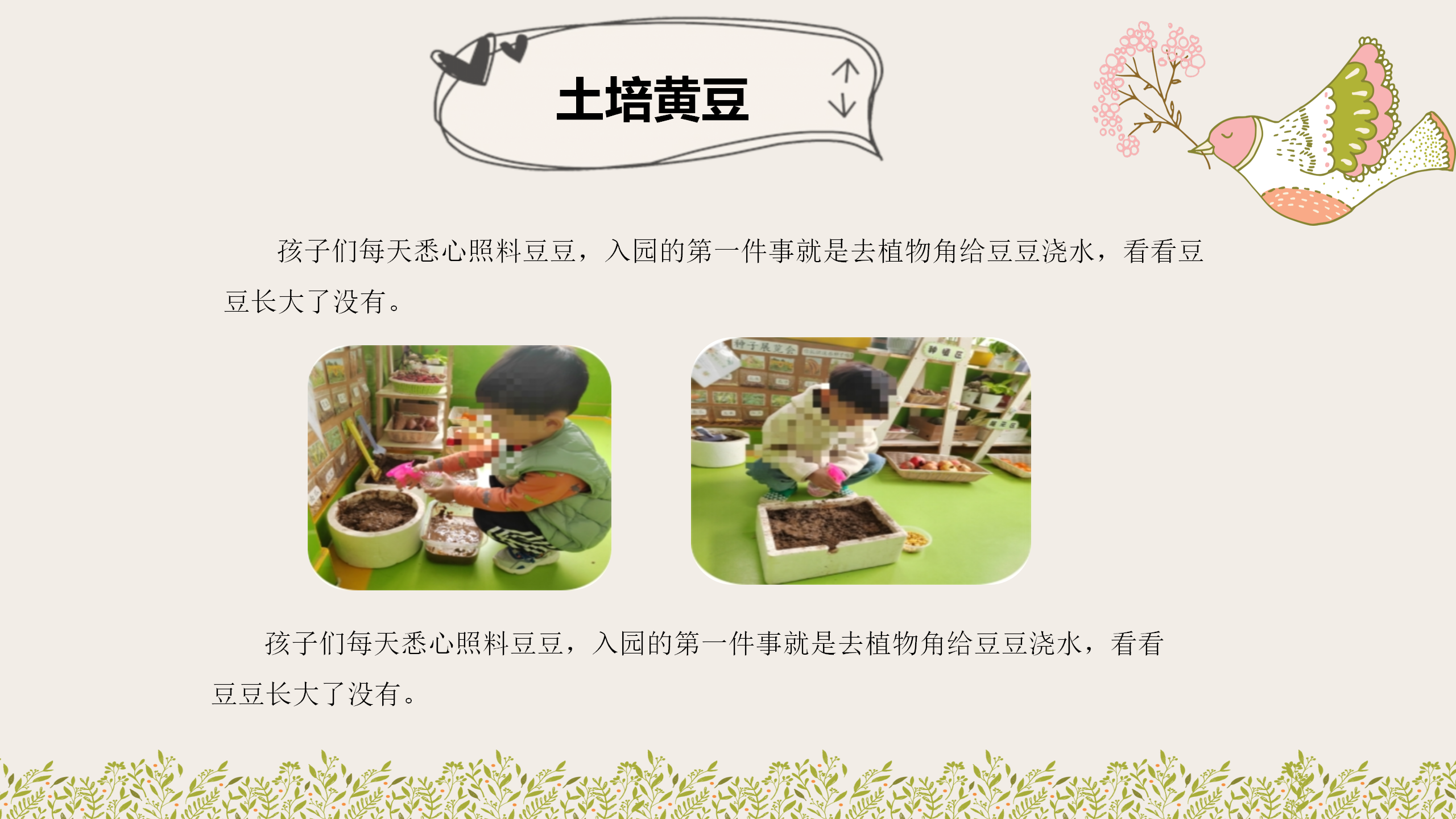小班课程故事《因豆而起》_幼儿园班本课程_24.png