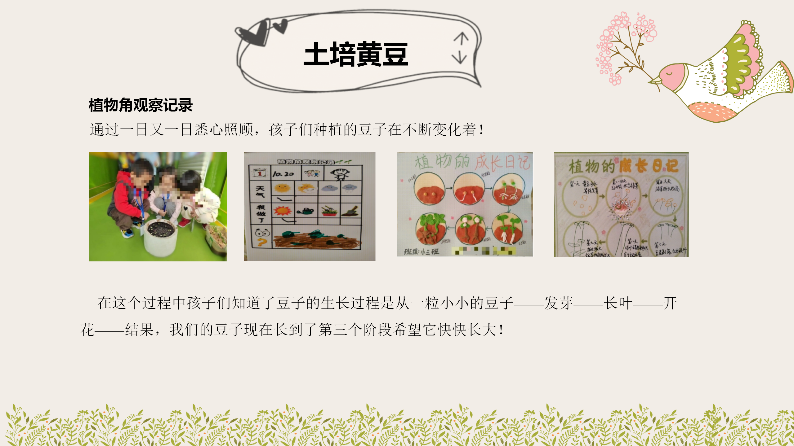 小班课程故事《因豆而起》_幼儿园班本课程_26.png