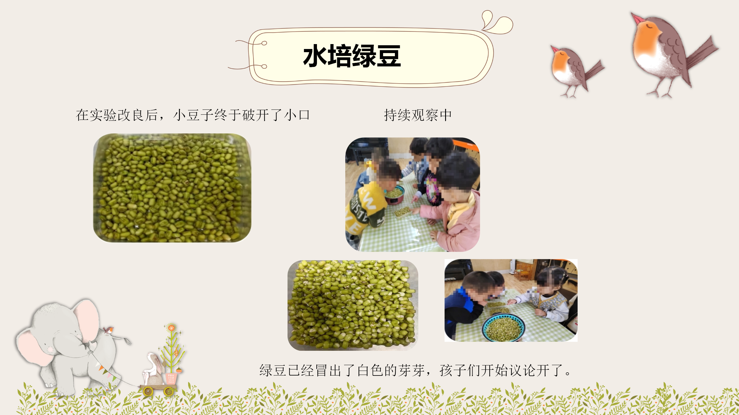 小班课程故事《因豆而起》_幼儿园班本课程_36.png