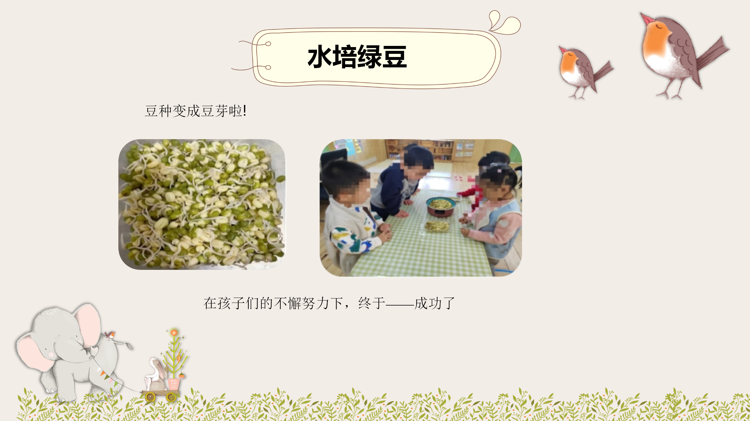 小班课程故事《因豆而起》_幼儿园班本课程_40.png
