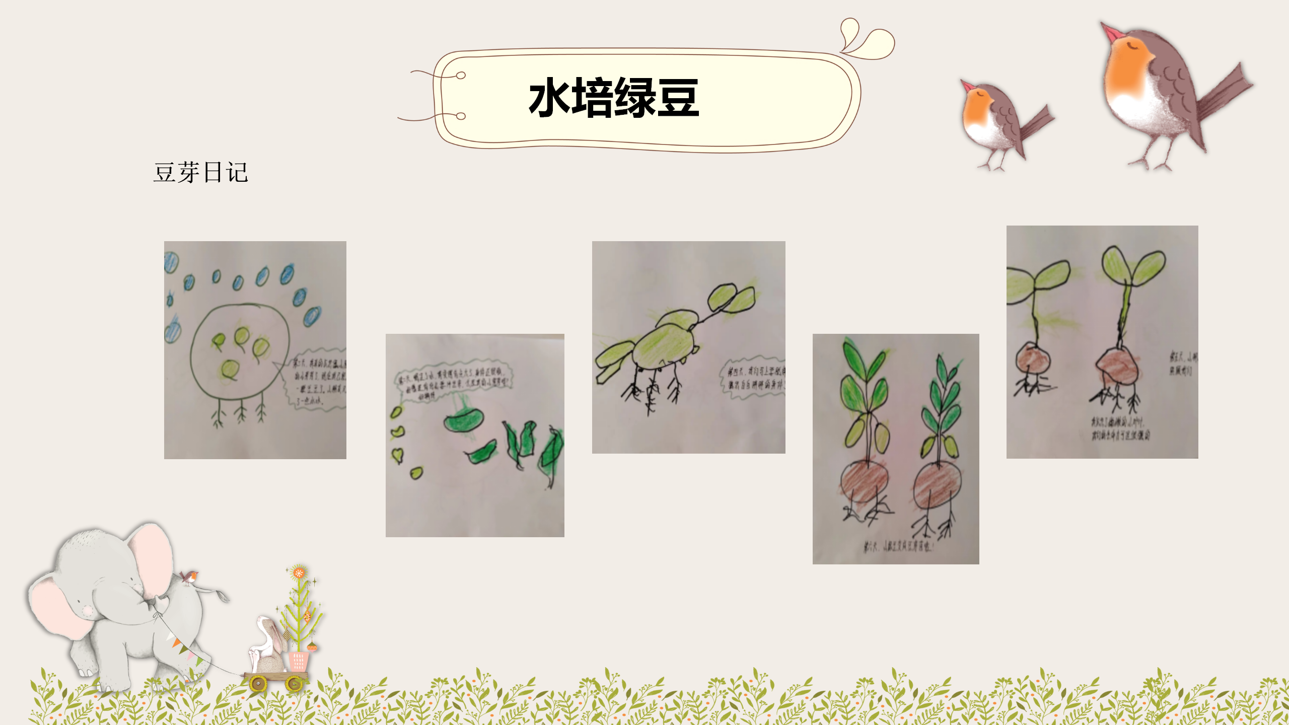 小班课程故事《因豆而起》_幼儿园班本课程_41.png