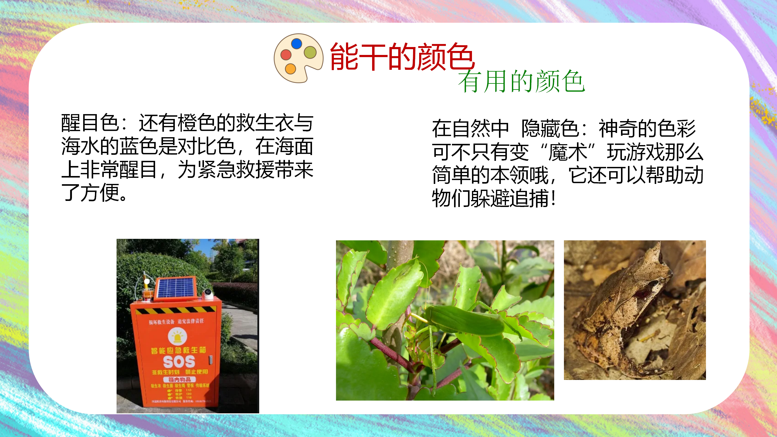 一起来“颜”究1_幼儿园班本课程_39.png