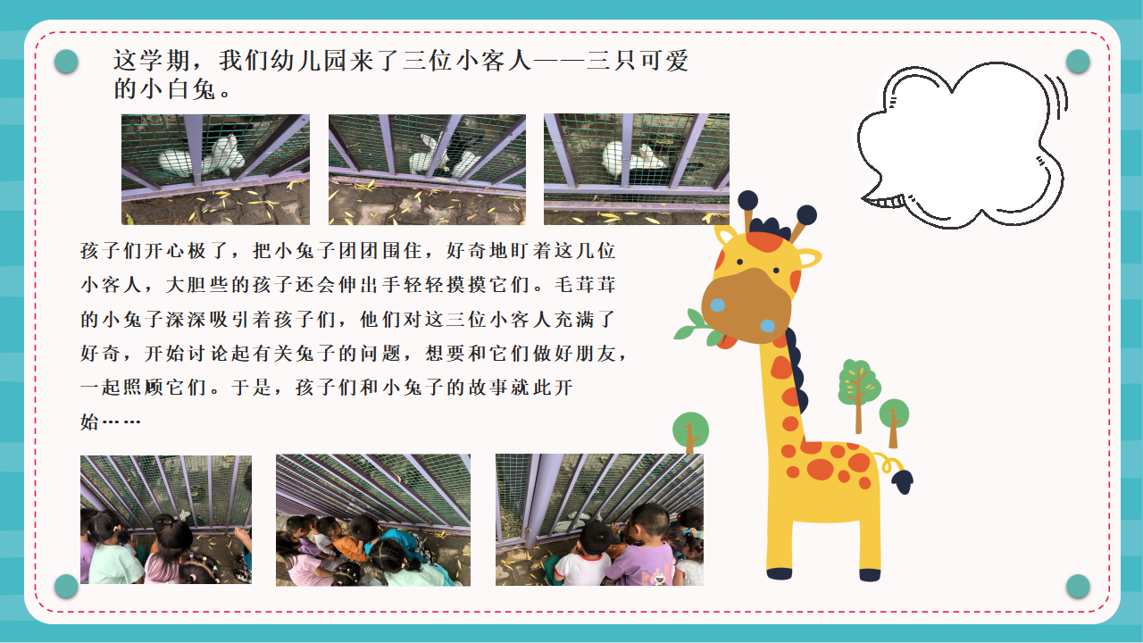幼儿园课程故事《“兔”然遇见你》22页_幼儿园班本课程_04.png
