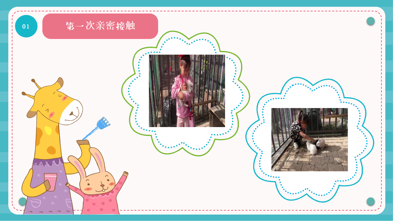 幼儿园课程故事《“兔”然遇见你》22页_幼儿园班本课程_05.png