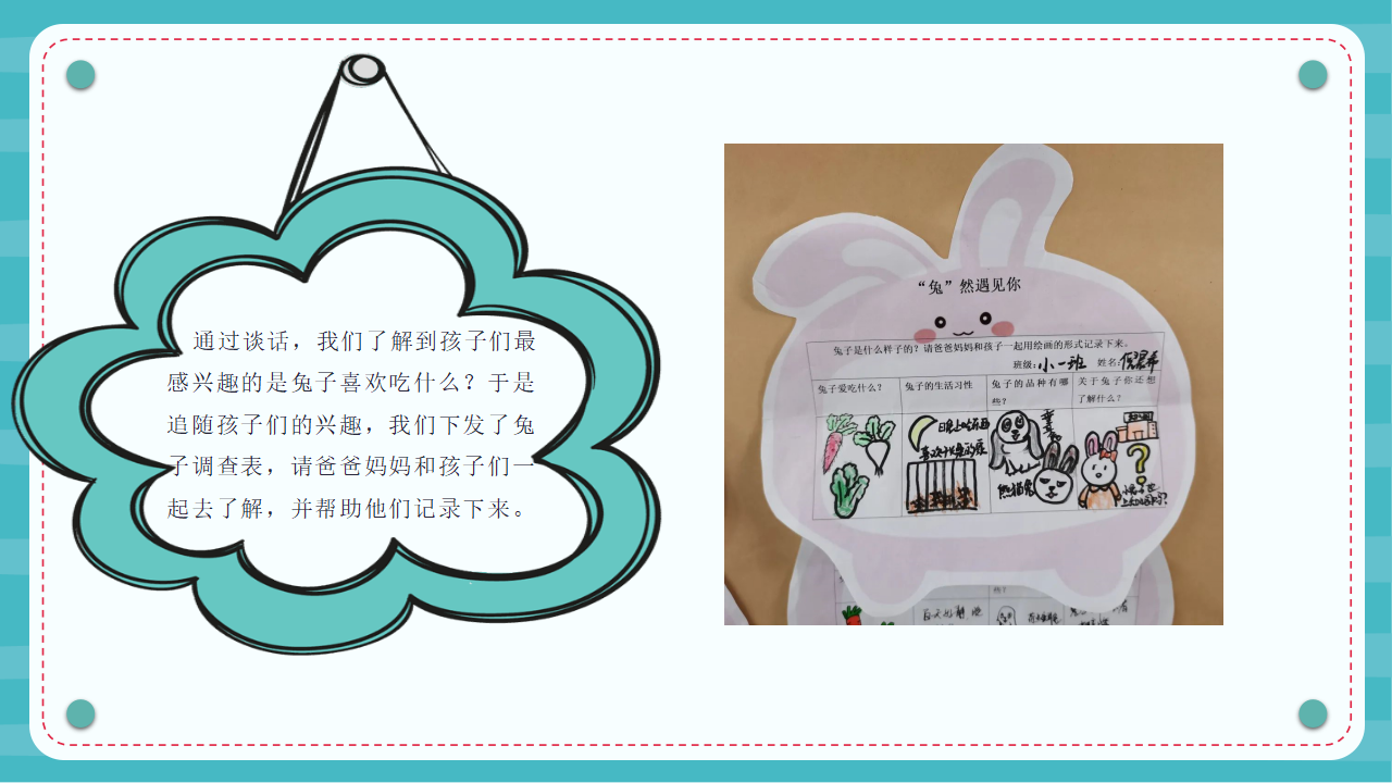 幼儿园课程故事《“兔”然遇见你》22页_幼儿园班本课程_11.png