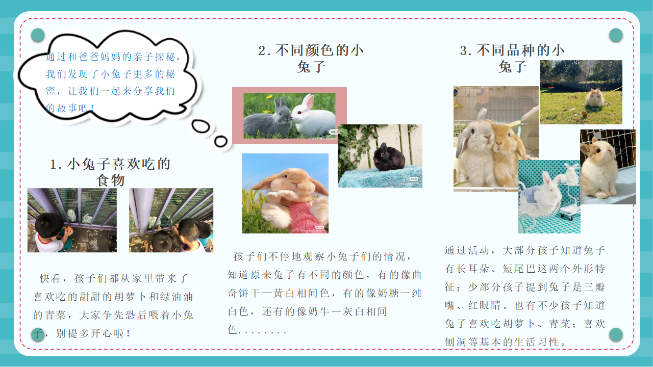 幼儿园课程故事《“兔”然遇见你》22页_幼儿园班本课程_13.png