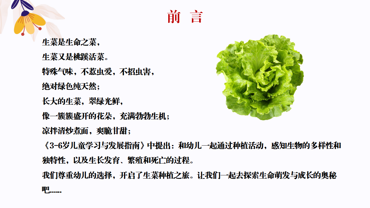 幼儿园班本课程故事—你好，生菜（57页）1_幼儿园班本课程_02.png