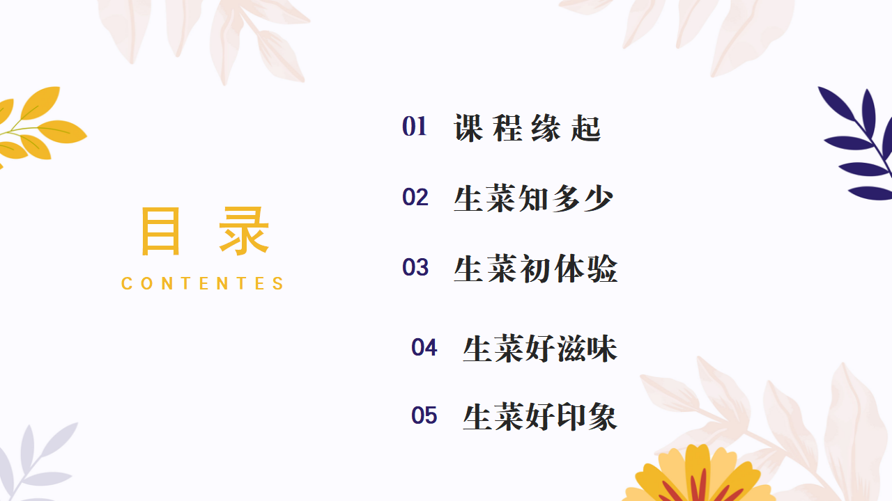 幼儿园班本课程故事—你好，生菜（57页）1_幼儿园班本课程_04.png
