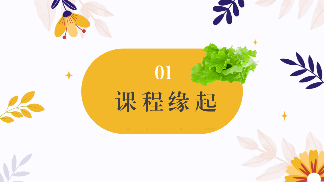 幼儿园班本课程故事—你好，生菜（57页）1_幼儿园班本课程_05.png