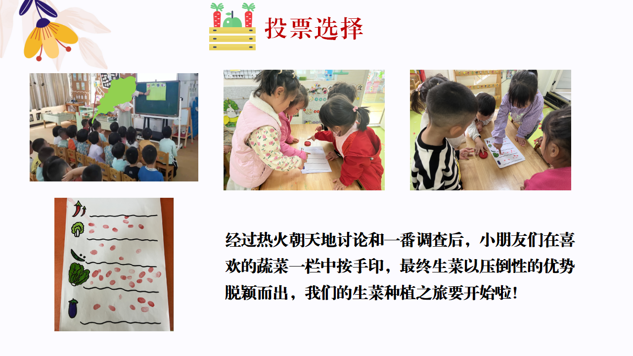 幼儿园班本课程故事—你好，生菜（57页）1_幼儿园班本课程_08.png