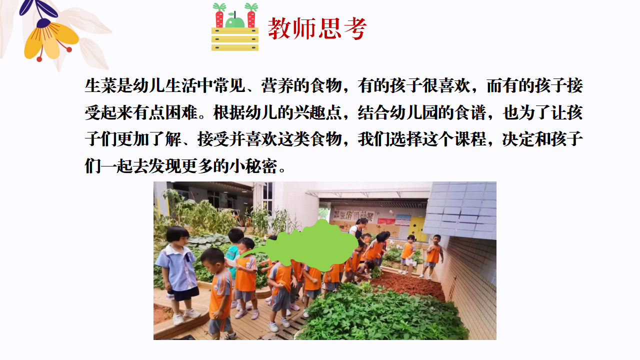 幼儿园班本课程故事—你好，生菜（57页）1_幼儿园班本课程_09.png