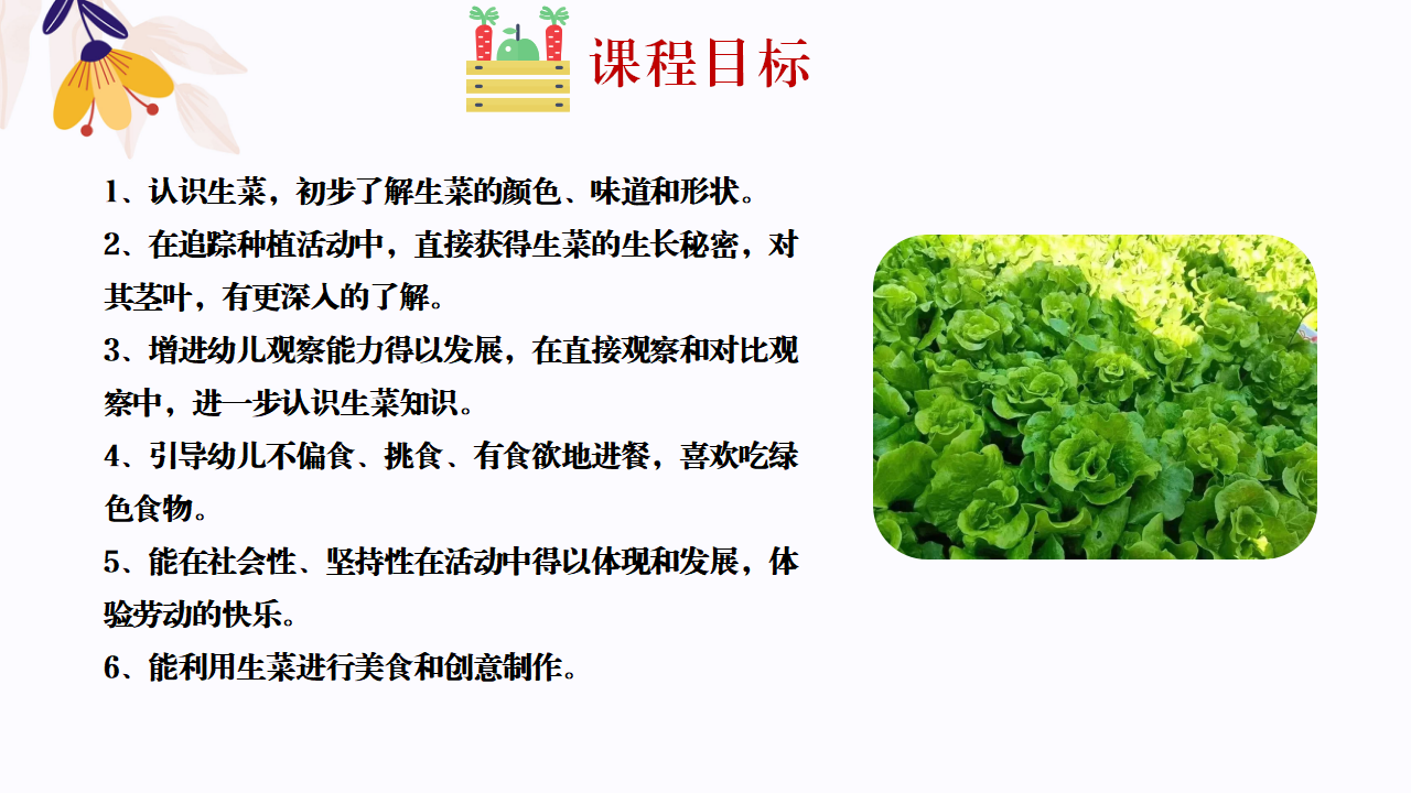 幼儿园班本课程故事—你好，生菜（57页）1_幼儿园班本课程_10.png