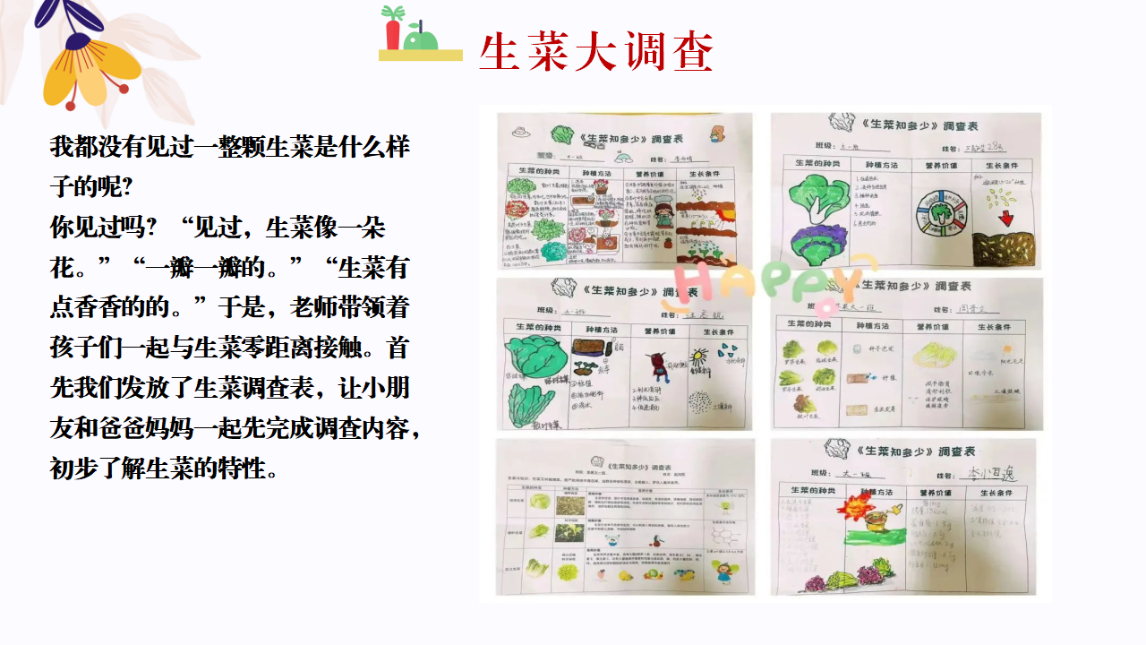 幼儿园班本课程故事—你好，生菜（57页）1_幼儿园班本课程_12.png