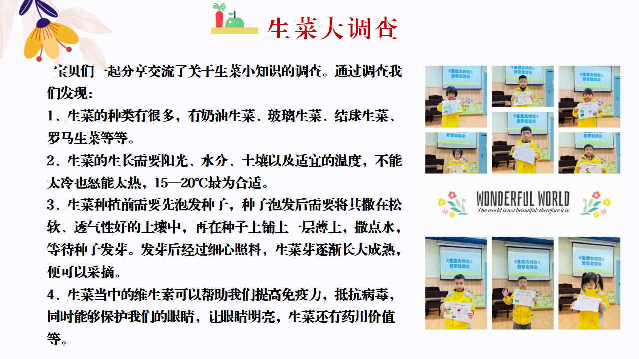 幼儿园班本课程故事—你好，生菜（57页）1_幼儿园班本课程_13.png