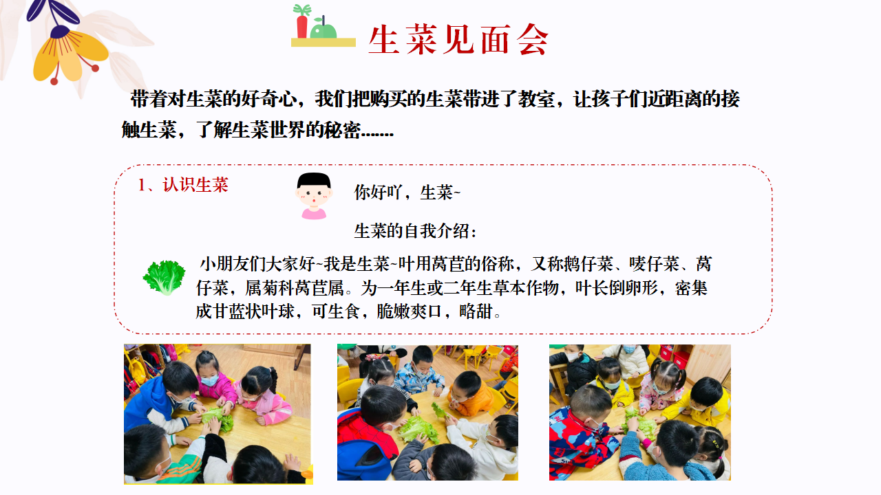 幼儿园班本课程故事—你好，生菜（57页）1_幼儿园班本课程_14.png