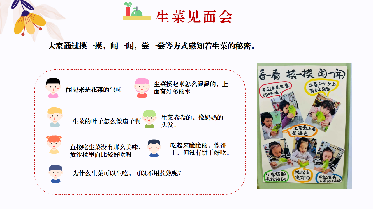 幼儿园班本课程故事—你好，生菜（57页）1_幼儿园班本课程_15.png