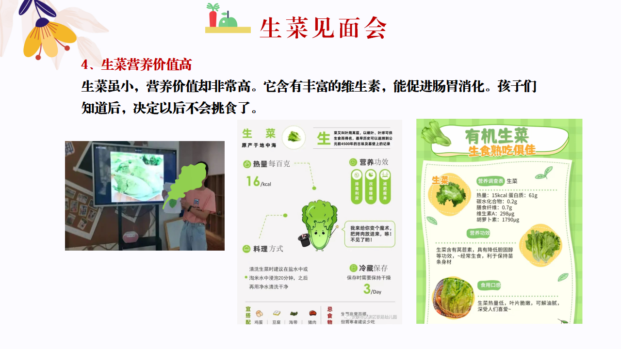 幼儿园班本课程故事—你好，生菜（57页）1_幼儿园班本课程_18.png