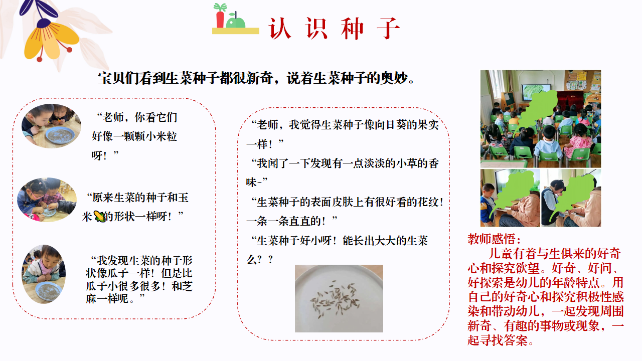 幼儿园班本课程故事—你好，生菜（57页）1_幼儿园班本课程_21.png