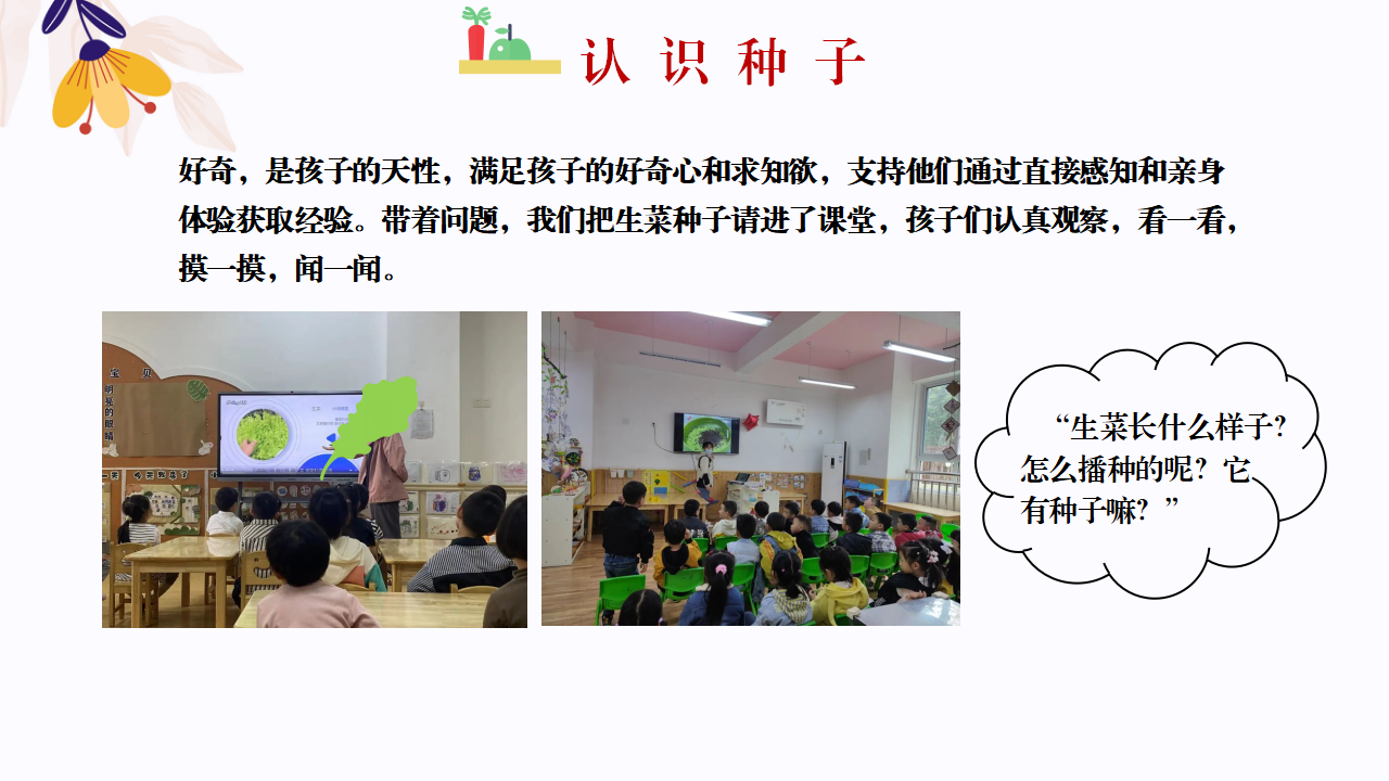 幼儿园班本课程故事—你好，生菜（57页）1_幼儿园班本课程_20.png