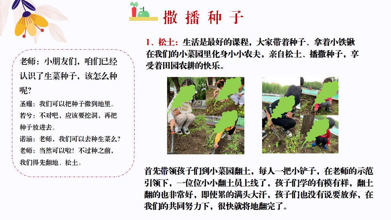 幼儿园班本课程故事—你好，生菜（57页）1_幼儿园班本课程_23.png