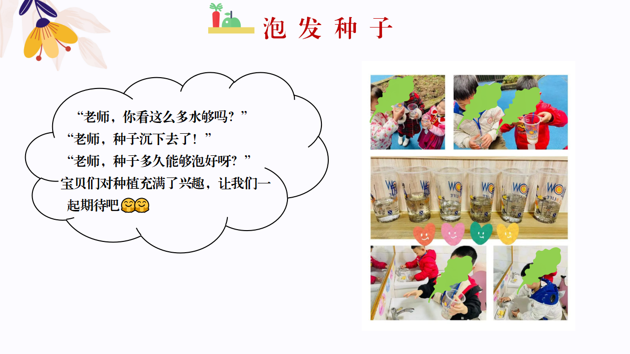 幼儿园班本课程故事—你好，生菜（57页）1_幼儿园班本课程_22.png