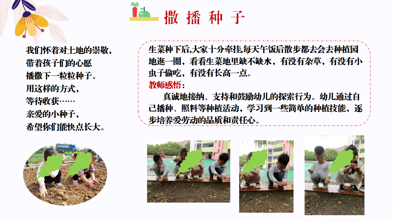 幼儿园班本课程故事—你好，生菜（57页）1_幼儿园班本课程_25.png