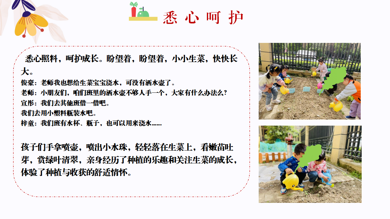 幼儿园班本课程故事—你好，生菜（57页）1_幼儿园班本课程_26.png