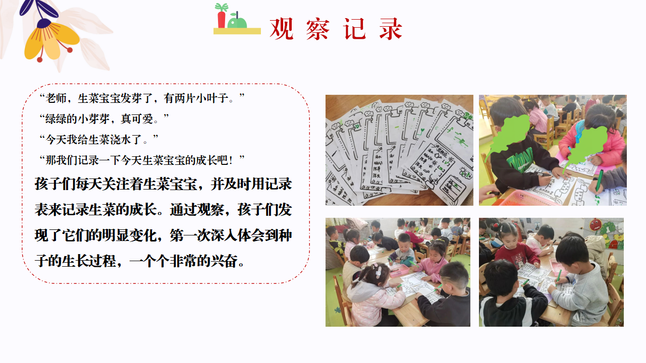 幼儿园班本课程故事—你好，生菜（57页）1_幼儿园班本课程_28.png
