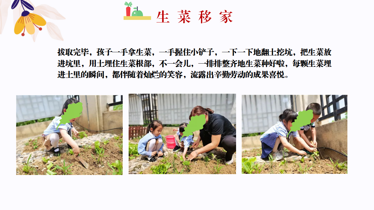 幼儿园班本课程故事—你好，生菜（57页）1_幼儿园班本课程_30.png
