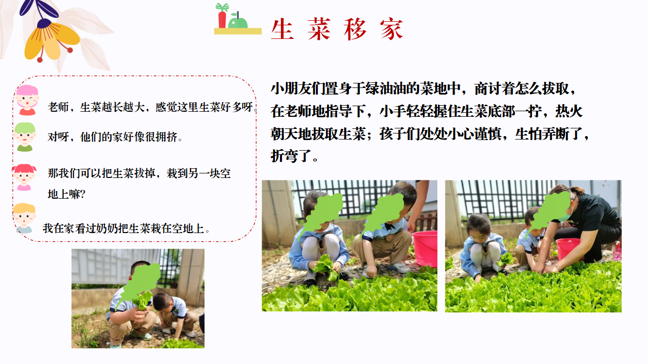 幼儿园班本课程故事—你好，生菜（57页）1_幼儿园班本课程_29.png
