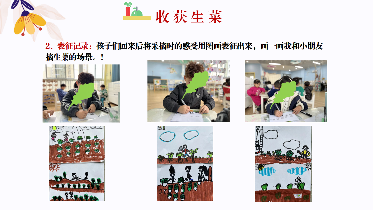 幼儿园班本课程故事—你好，生菜（57页）1_幼儿园班本课程_35.png