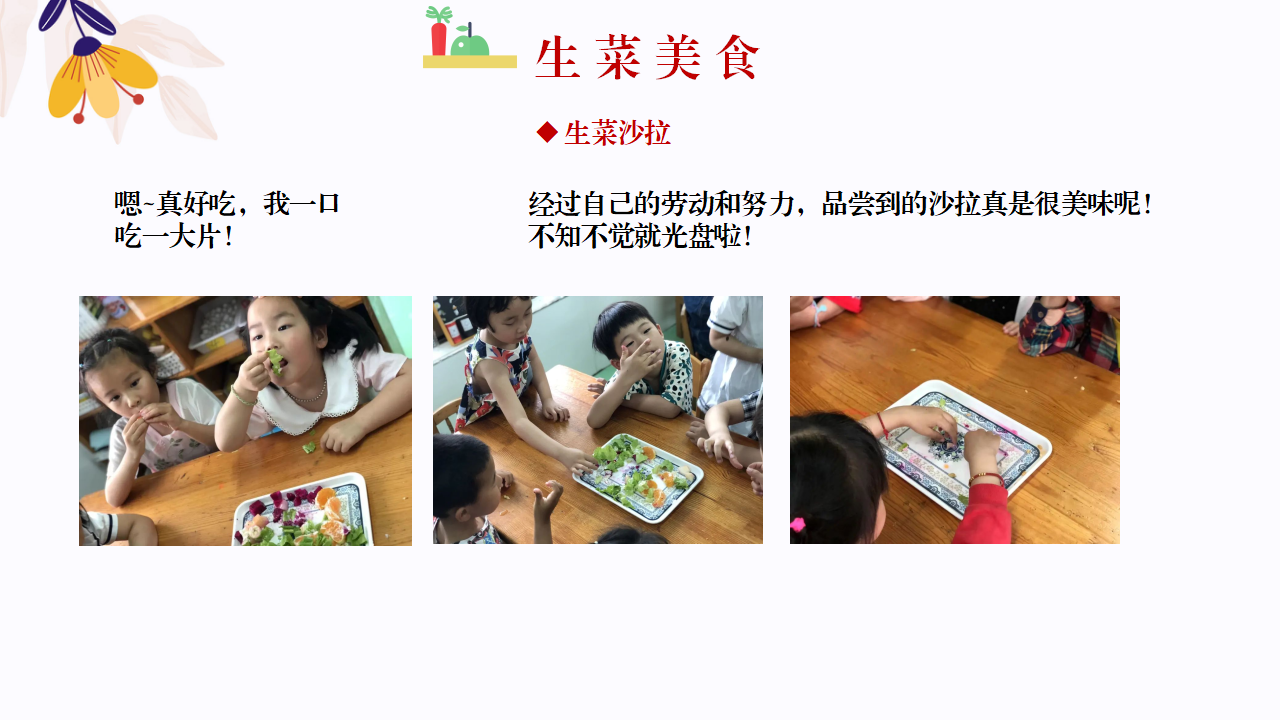 幼儿园班本课程故事—你好，生菜（57页）1_幼儿园班本课程_38.png