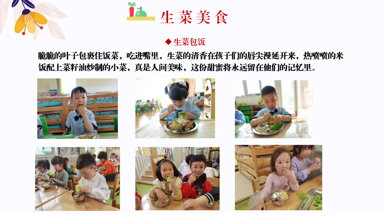 幼儿园班本课程故事—你好，生菜（57页）1_幼儿园班本课程_41.png