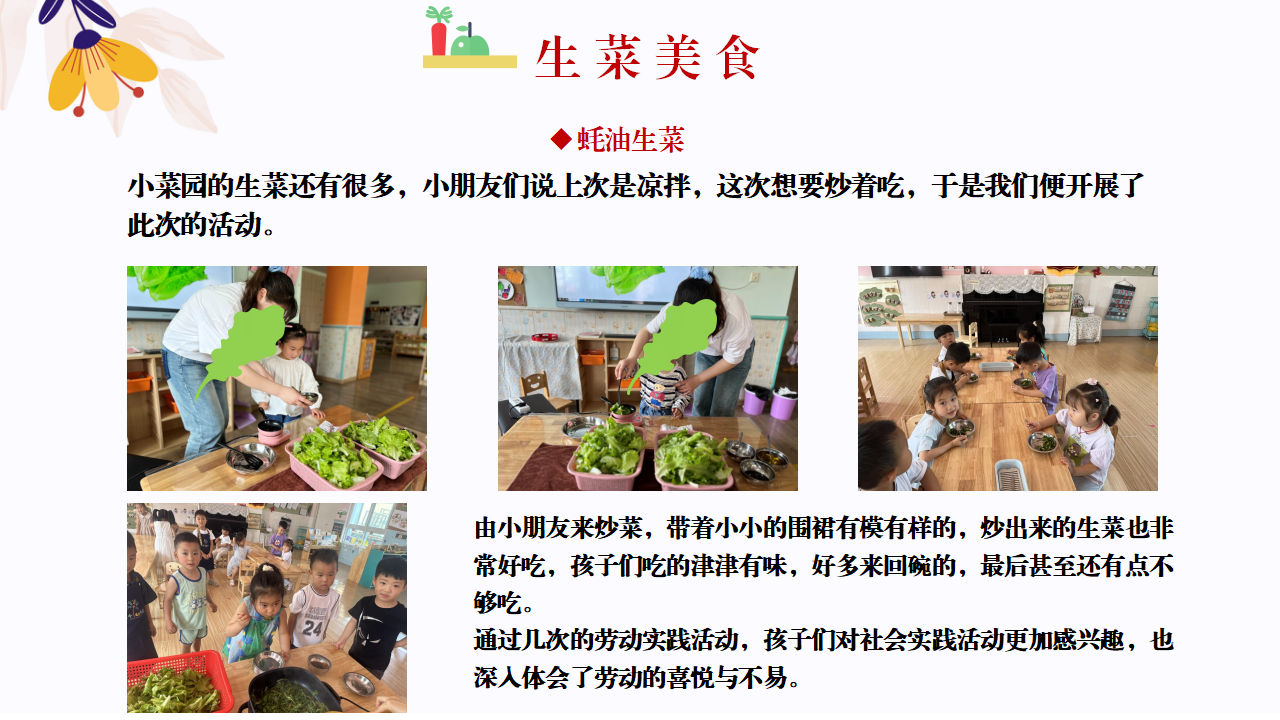 幼儿园班本课程故事—你好，生菜（57页）1_幼儿园班本课程_42.png