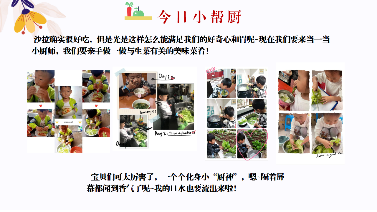 幼儿园班本课程故事—你好，生菜（57页）1_幼儿园班本课程_43.png