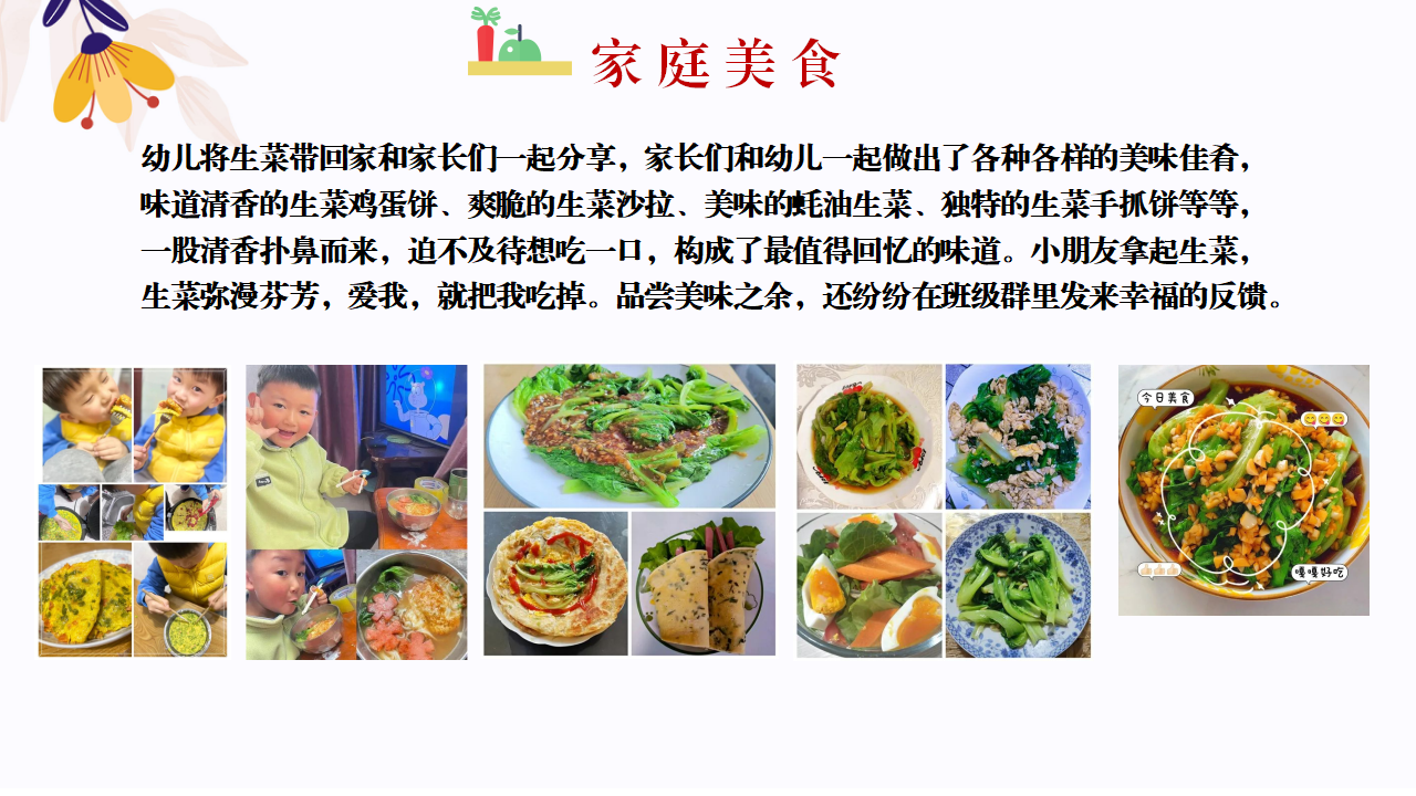 幼儿园班本课程故事—你好，生菜（57页）1_幼儿园班本课程_44.png