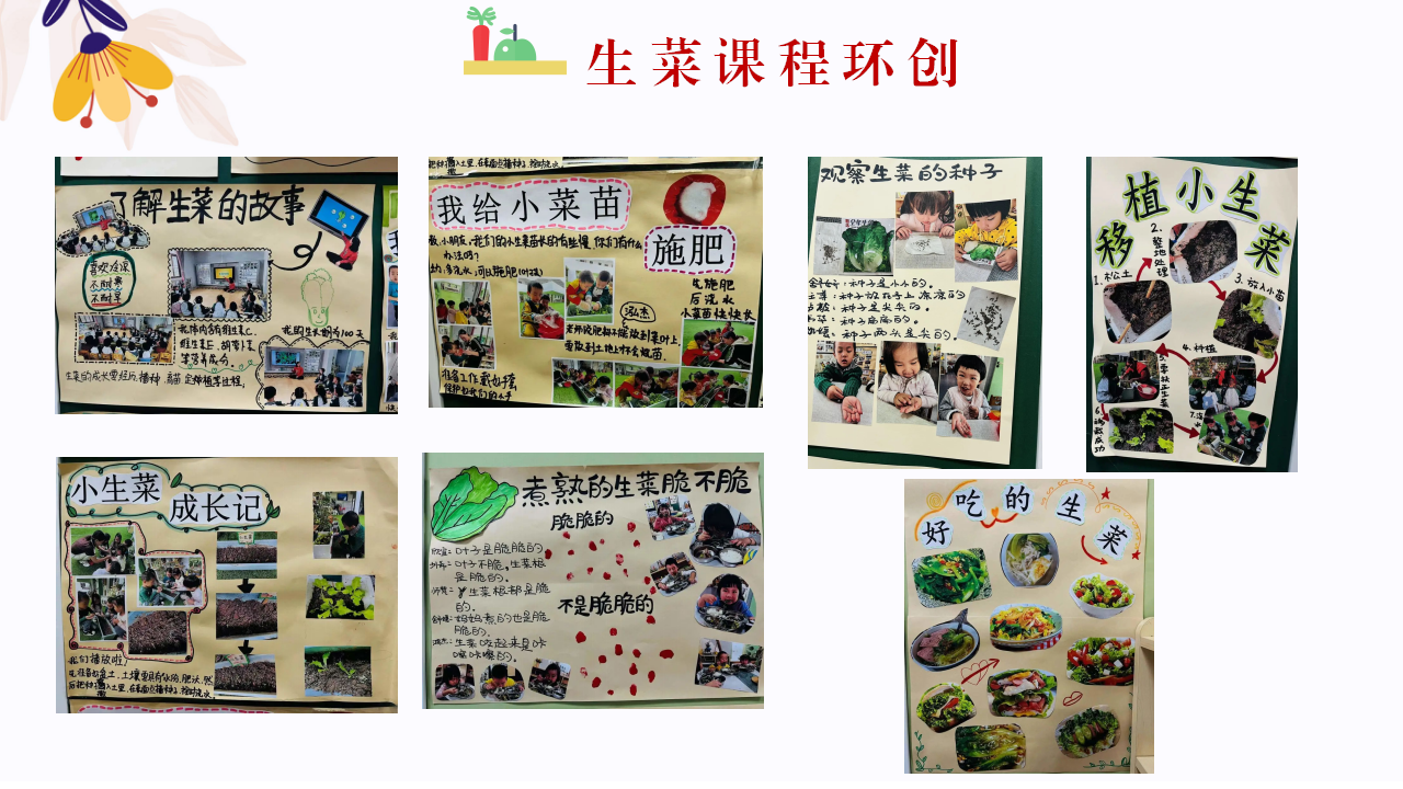 幼儿园班本课程故事—你好，生菜（57页）1_幼儿园班本课程_55.png