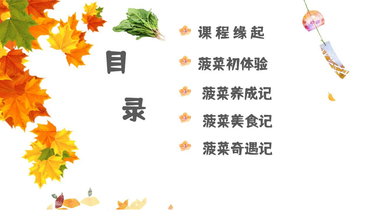 幼儿园班本课程故事——遇见菠菜（58页）_幼儿园班本课程_04.png