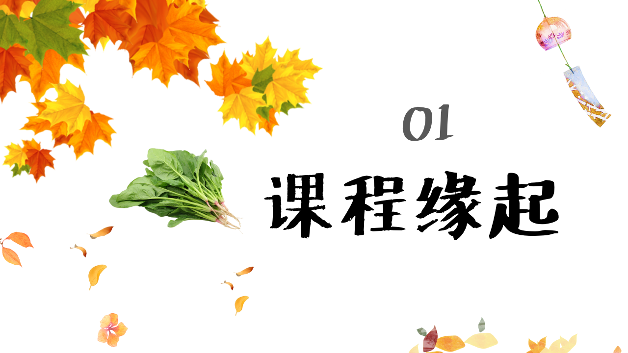 幼儿园班本课程故事——遇见菠菜（58页）_幼儿园班本课程_05.png