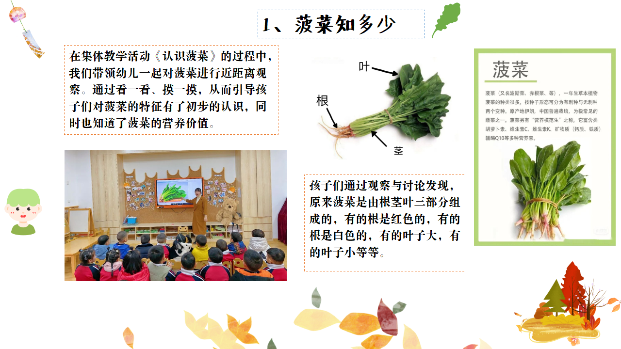 幼儿园班本课程故事——遇见菠菜（58页）_幼儿园班本课程_10.png