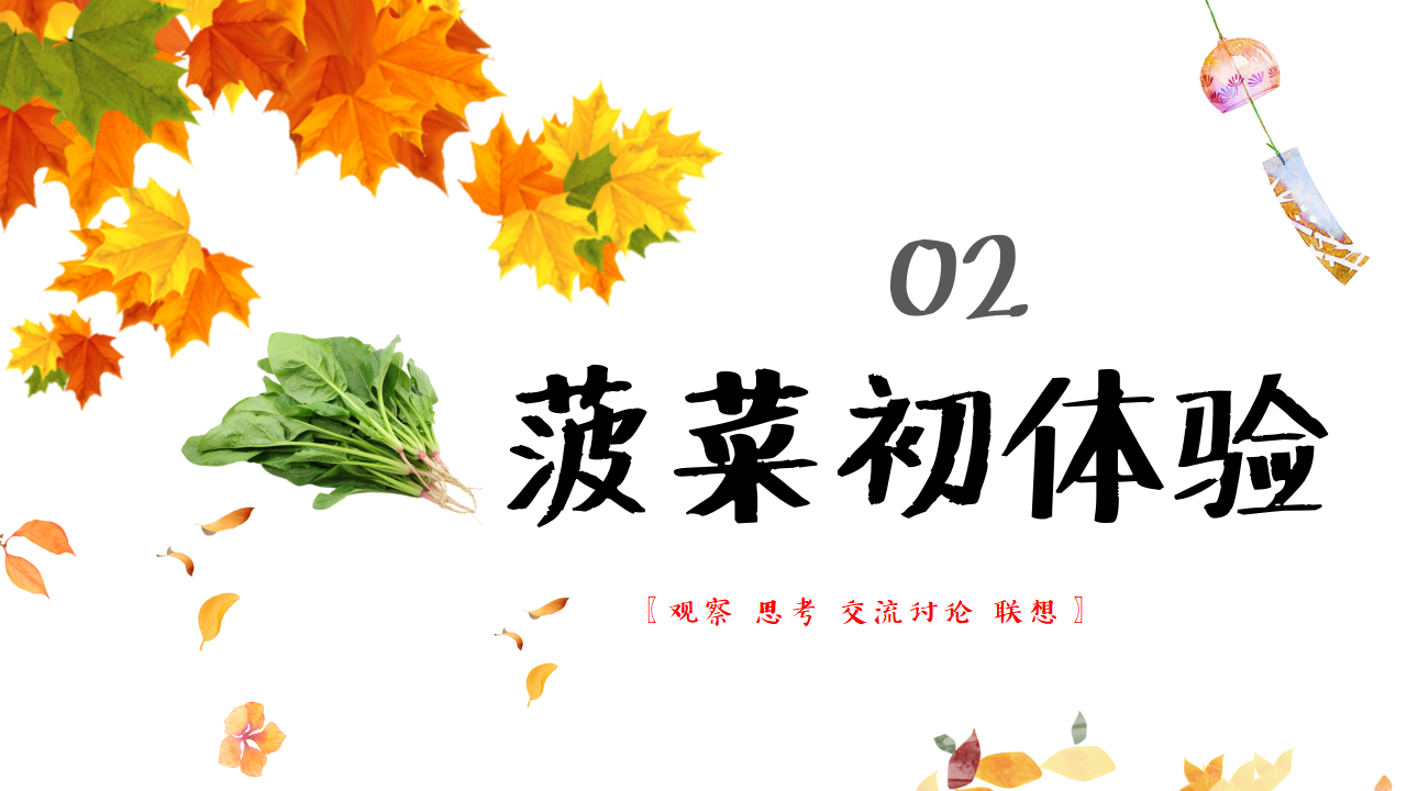 幼儿园班本课程故事——遇见菠菜（58页）_幼儿园班本课程_09.png