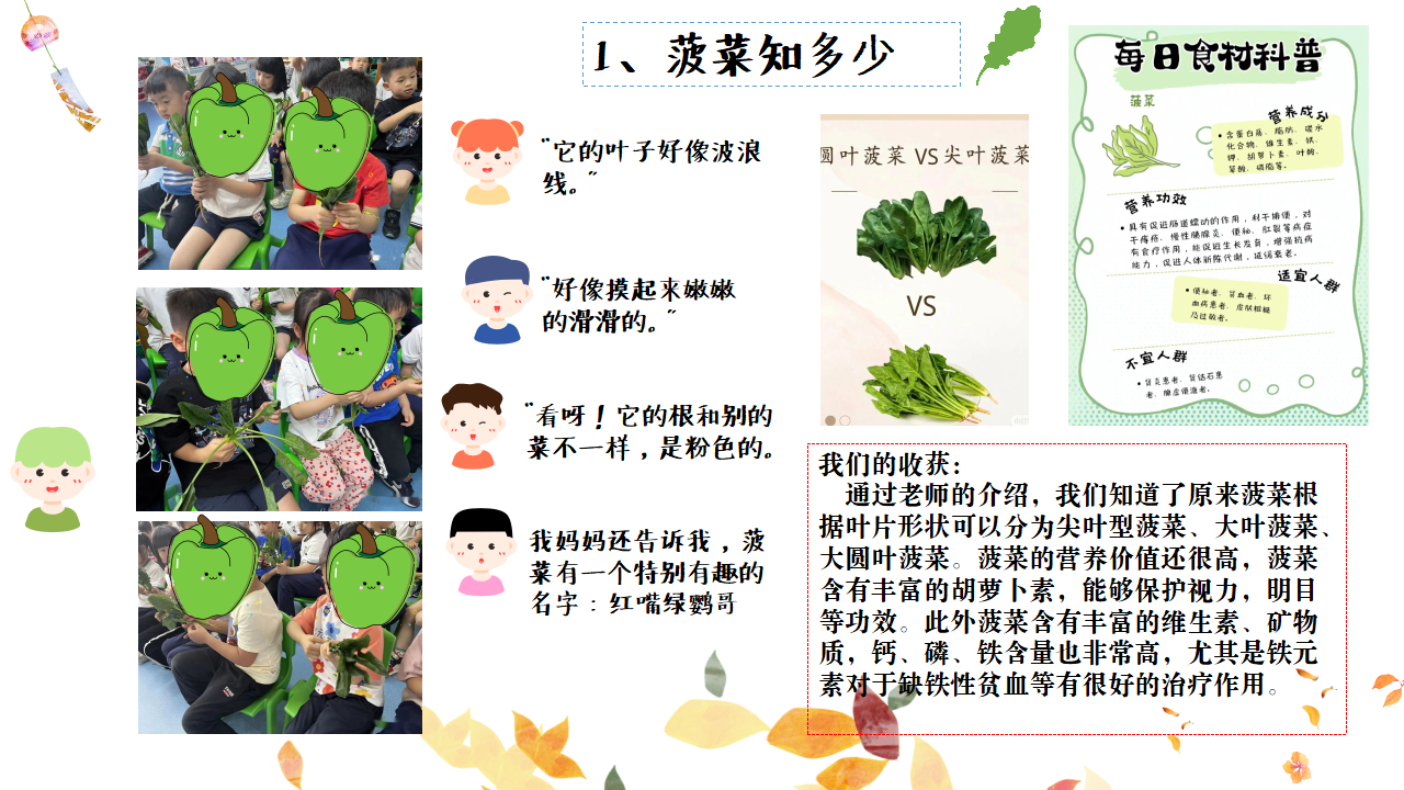 幼儿园班本课程故事——遇见菠菜（58页）_幼儿园班本课程_11.png