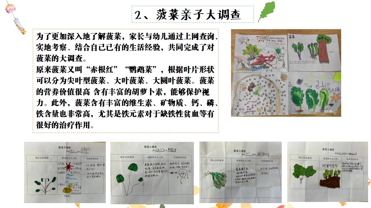 幼儿园班本课程故事——遇见菠菜（58页）_幼儿园班本课程_12.png