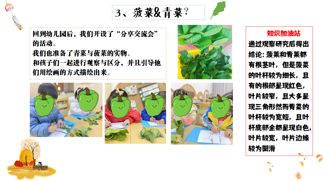 幼儿园班本课程故事——遇见菠菜（58页）_幼儿园班本课程_15.png