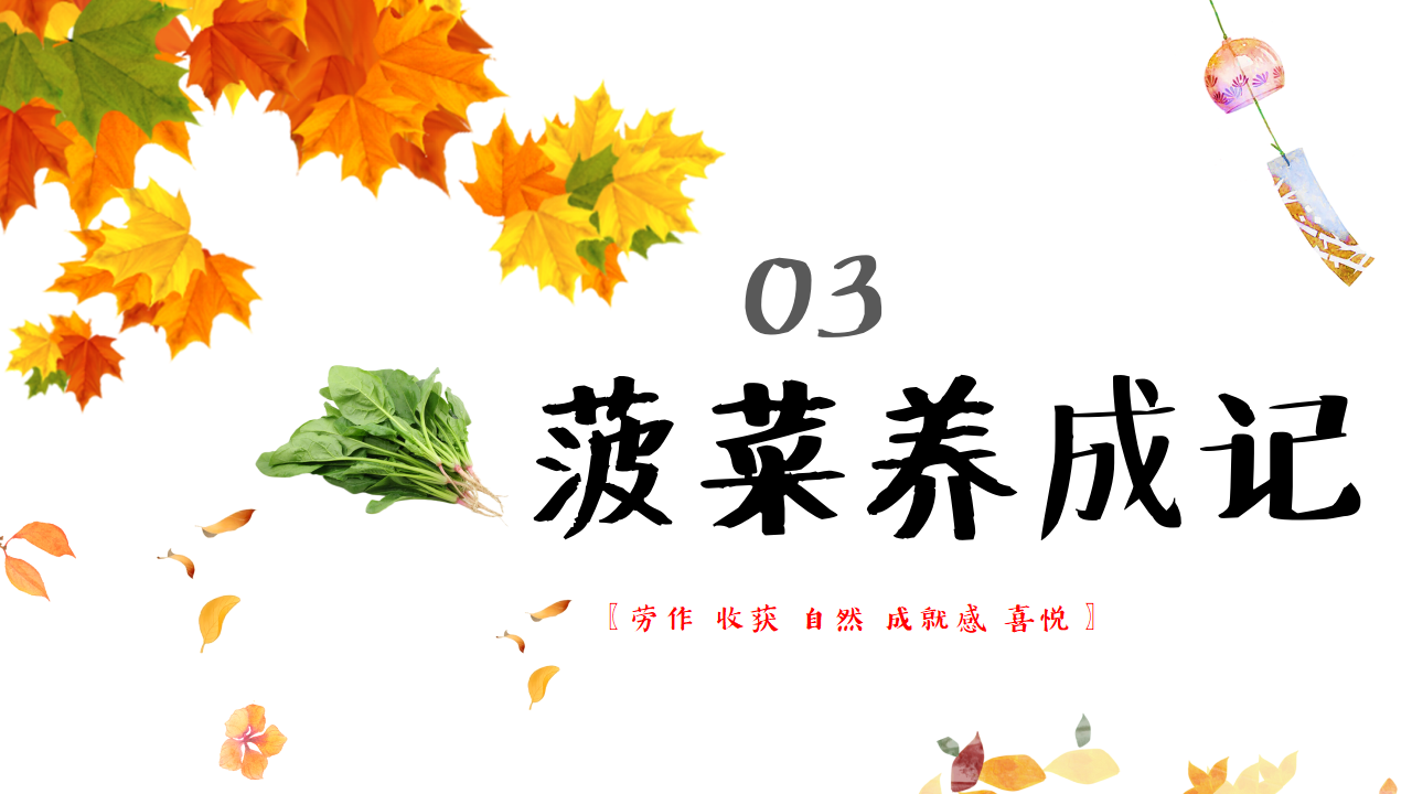 幼儿园班本课程故事——遇见菠菜（58页）_幼儿园班本课程_17.png