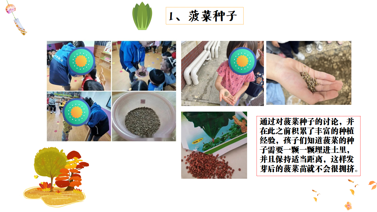 幼儿园班本课程故事——遇见菠菜（58页）_幼儿园班本课程_19.png