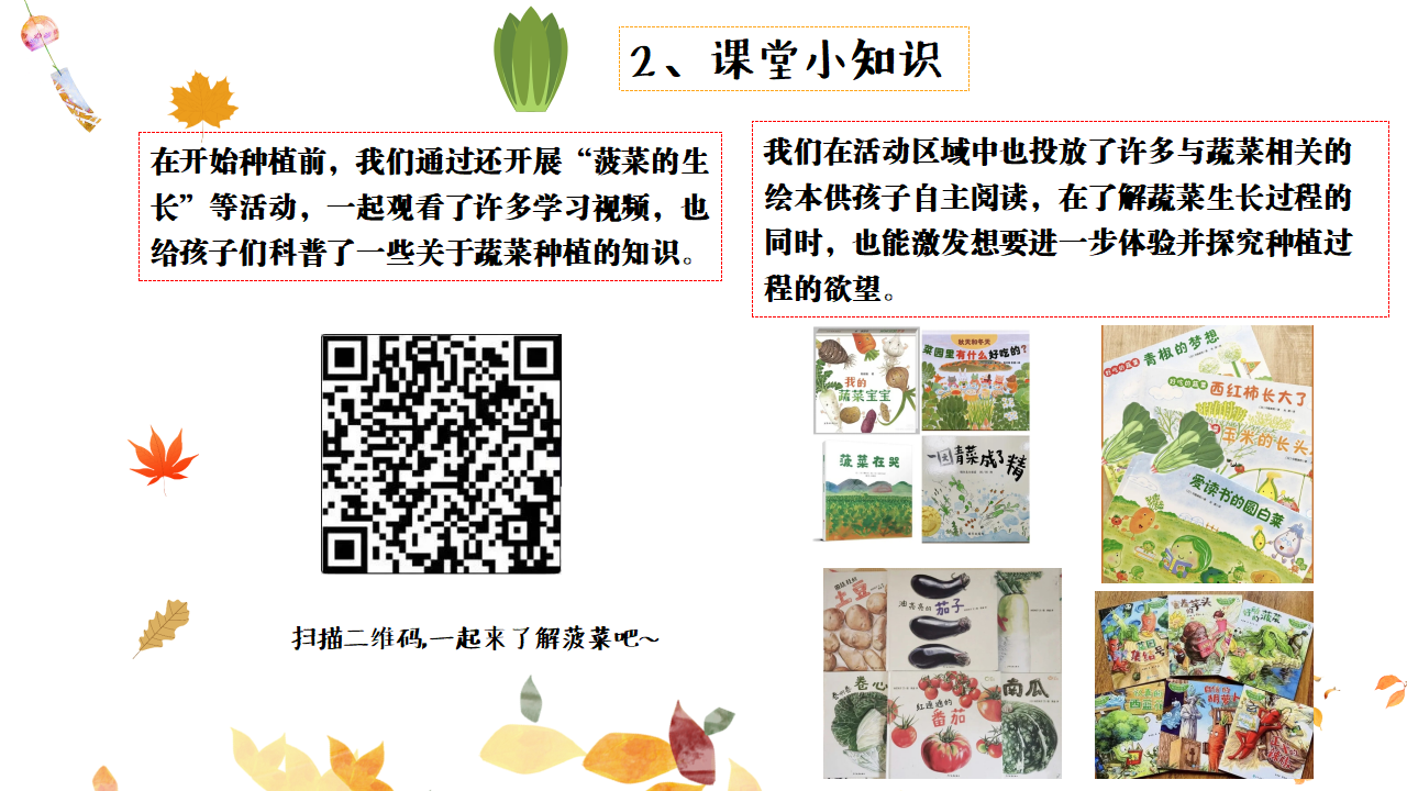 幼儿园班本课程故事——遇见菠菜（58页）_幼儿园班本课程_20.png