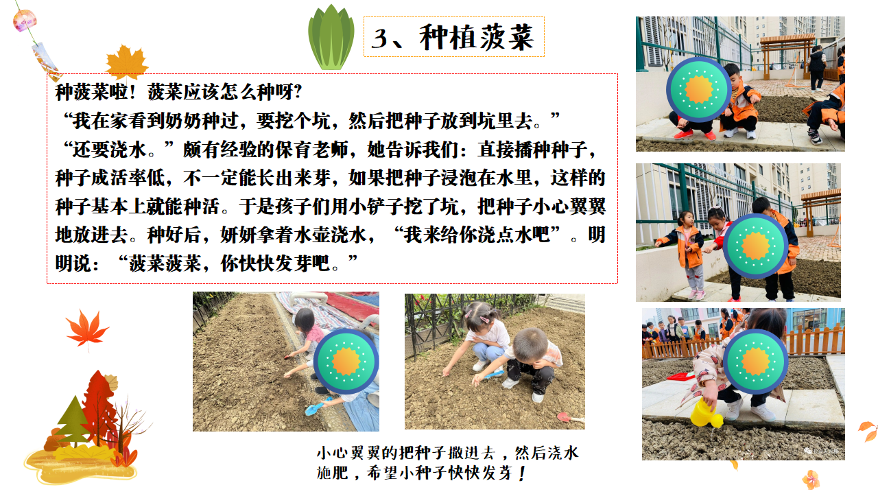 幼儿园班本课程故事——遇见菠菜（58页）_幼儿园班本课程_22.png