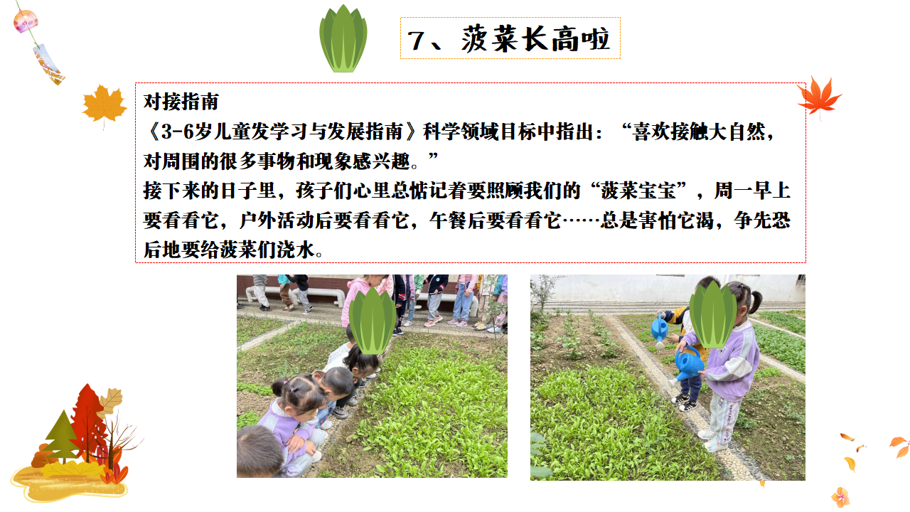 幼儿园班本课程故事——遇见菠菜（58页）_幼儿园班本课程_26.png