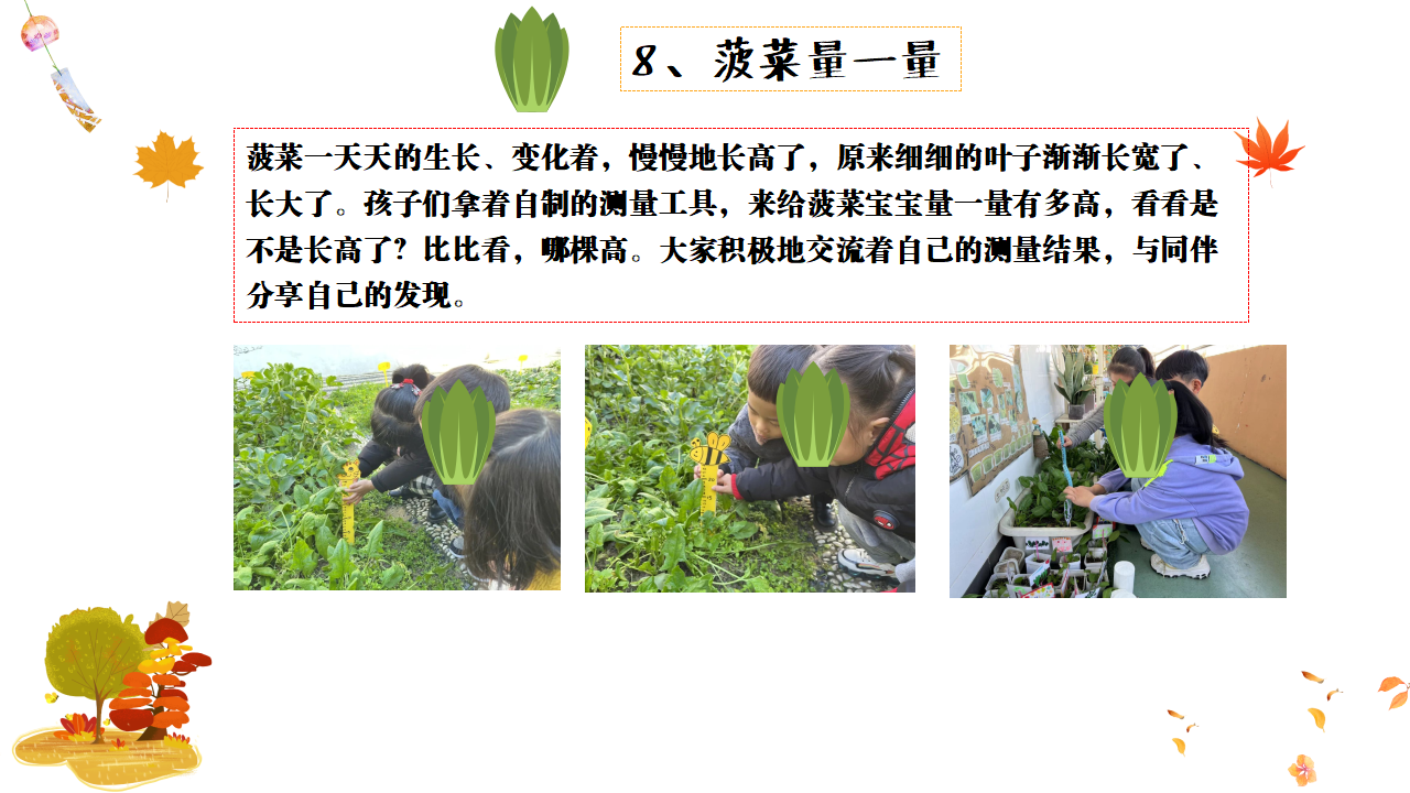 幼儿园班本课程故事——遇见菠菜（58页）_幼儿园班本课程_28.png
